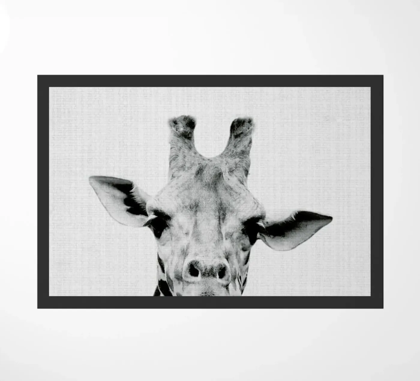 Print 41 zerbino da Lila & Lola