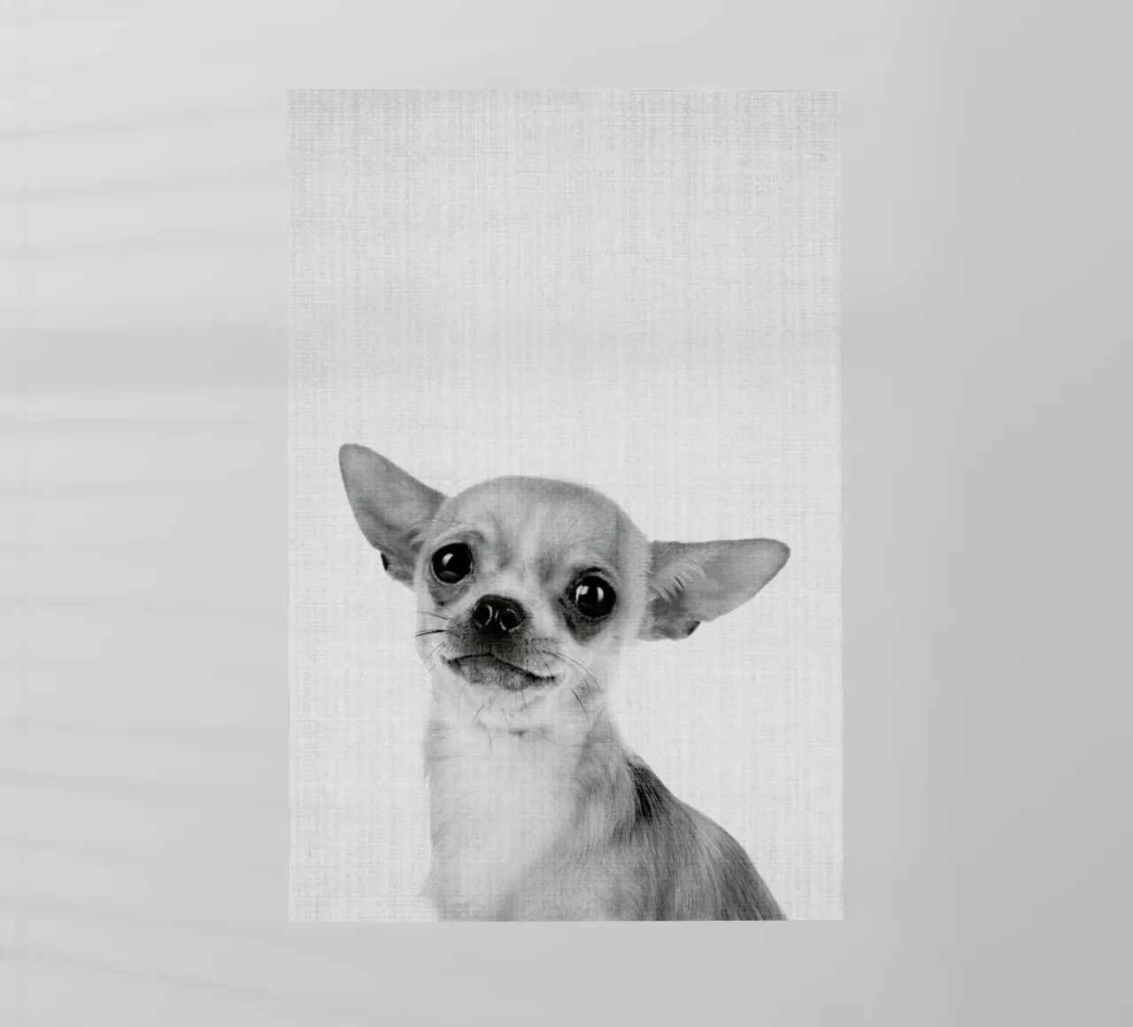 Print 53 pellicola backlit da Lila & Lola