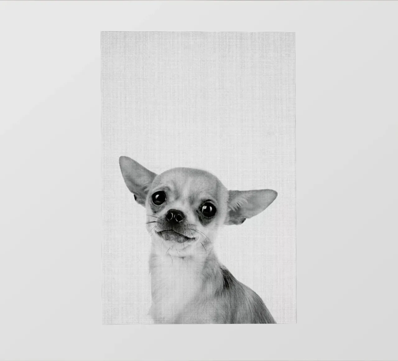 Print 53 pellicola backlit da Lila & Lola