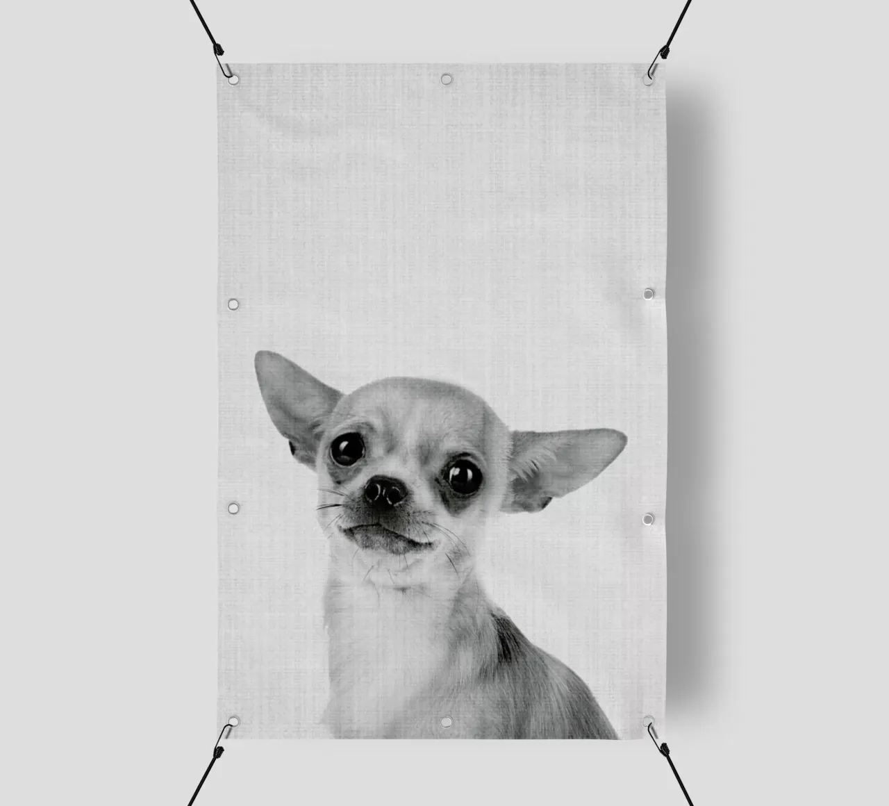 Print 53 telo in pvc da Lila x Lola
