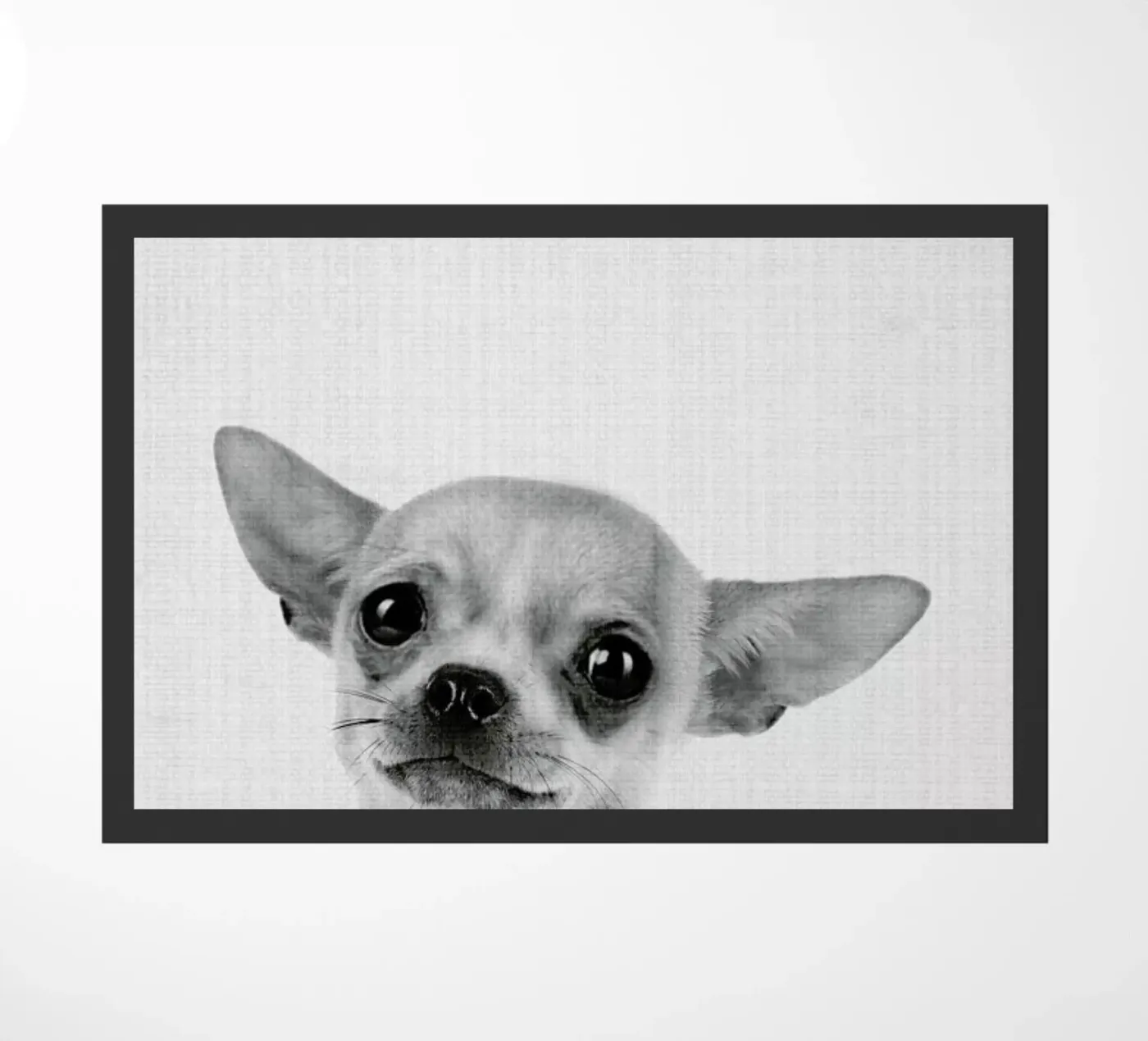 Print 53 zerbino da Lila & Lola