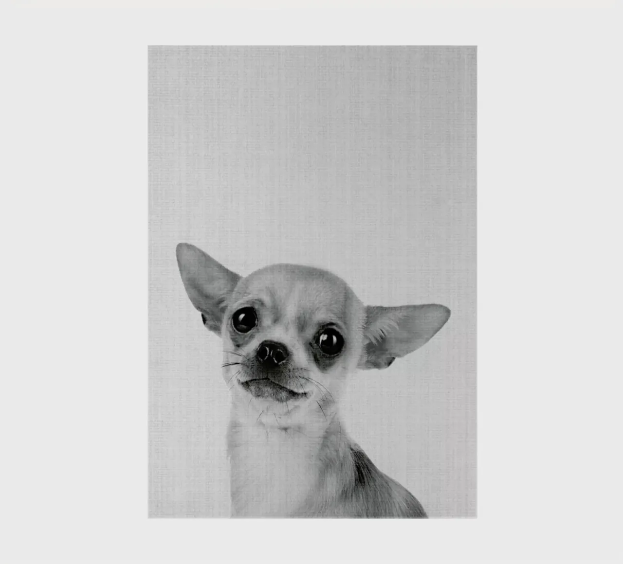 Print 53 notebook by Lila & Lola