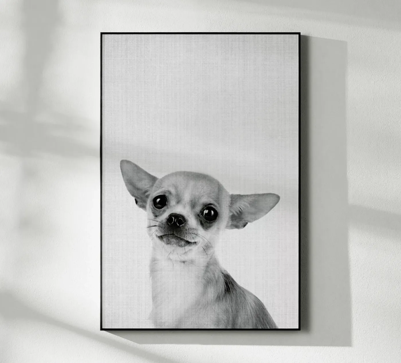 Print 53 plexiglass da Lila & Lola