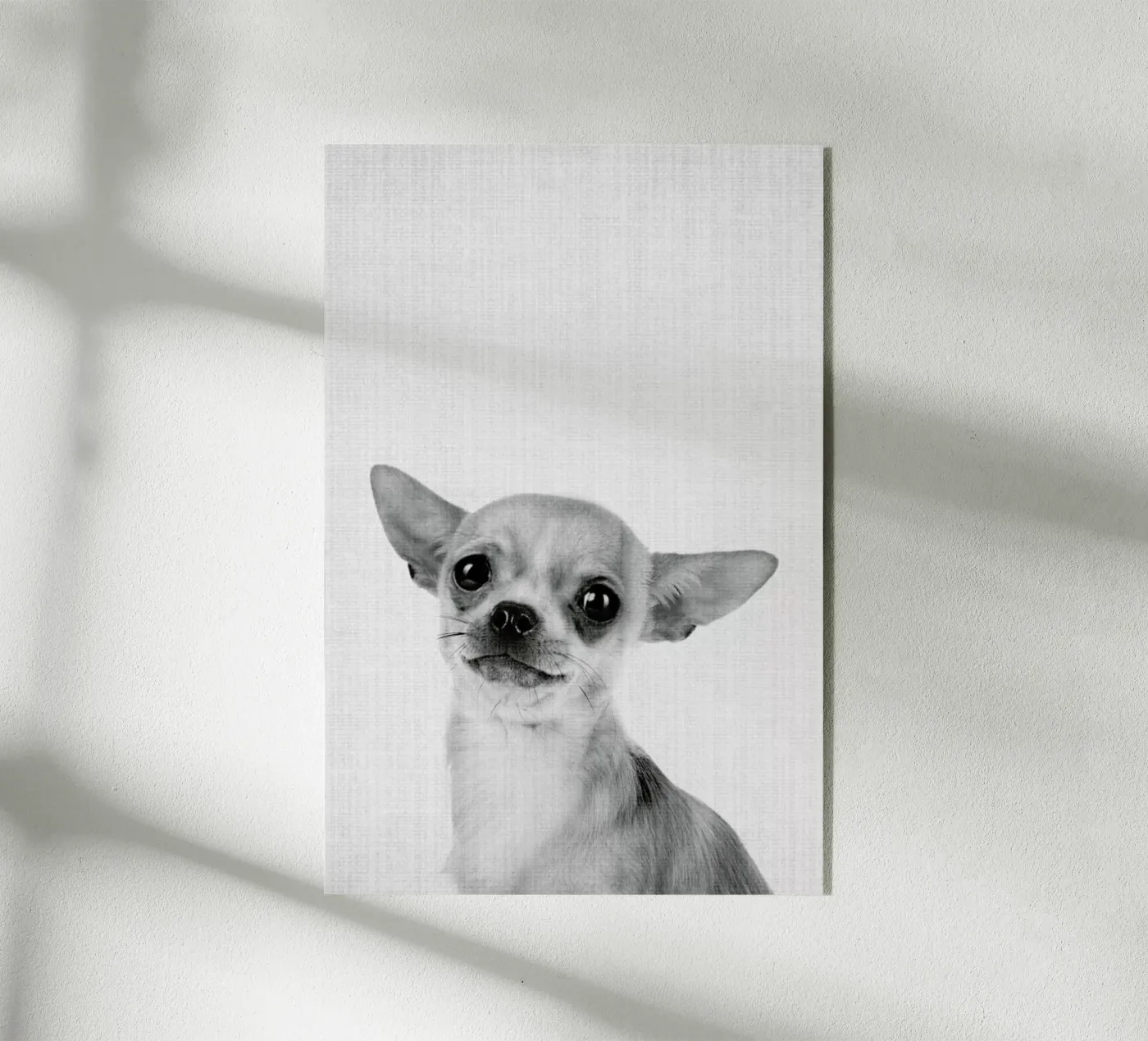 Print 53 plexiglass da Lila & Lola