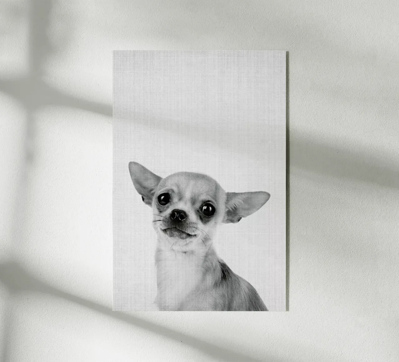 Print 53 plexiglass da Lila & Lola