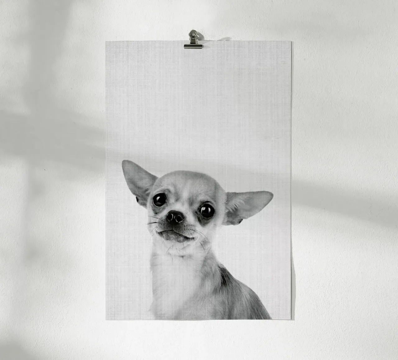 Print 53 carta hahnemühle da Lila & Lola