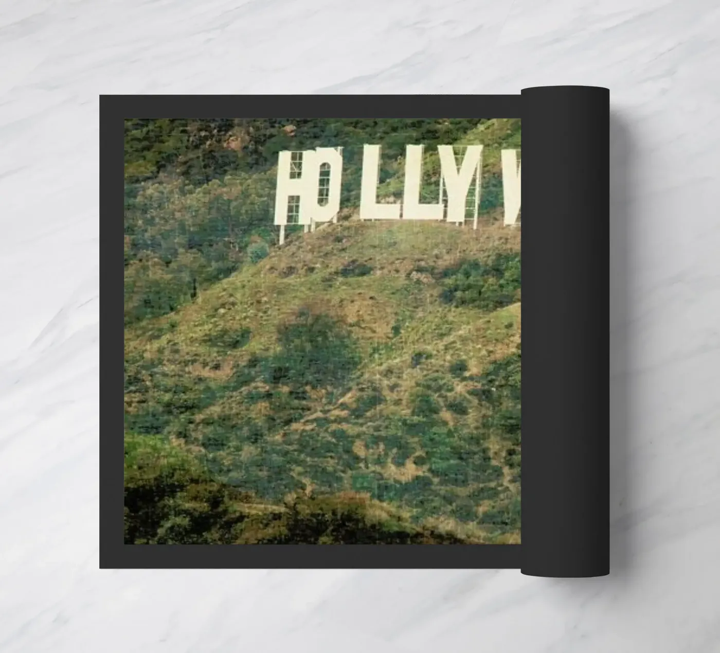 Hollywood zerbino da Catherine McDonald