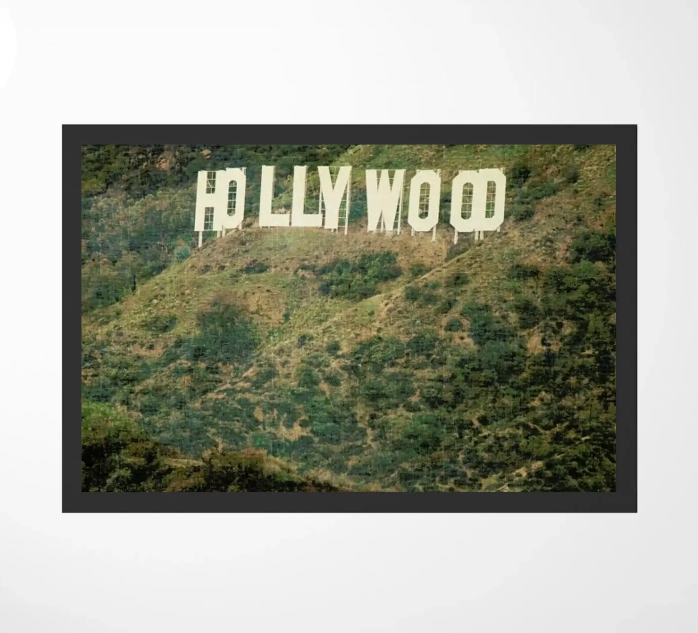 Hollywood zerbino da Catherine McDonald