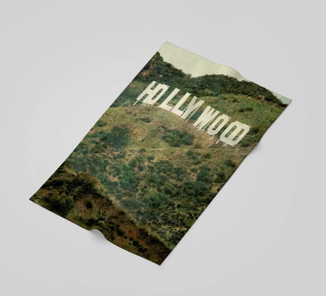 Hollywood telo mare da Catherine McDonald