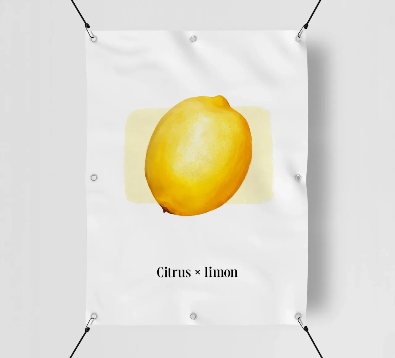 Citrus x limon № 1 telo in pvc da color&shape