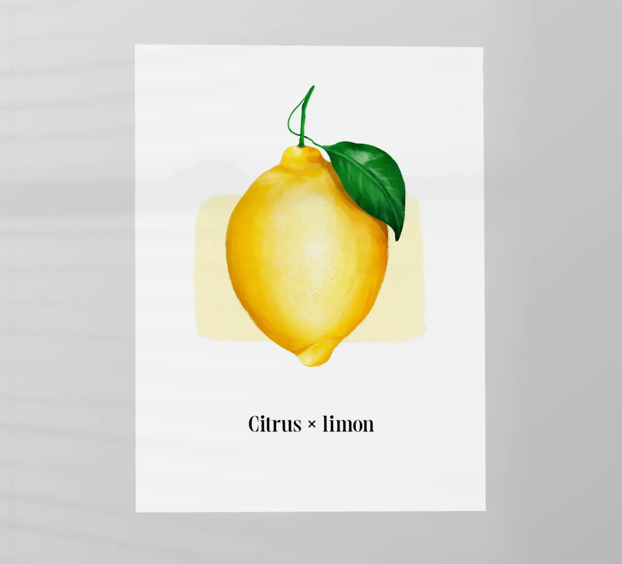 Citrus x limon № 2 pellicola backlit da color&shape