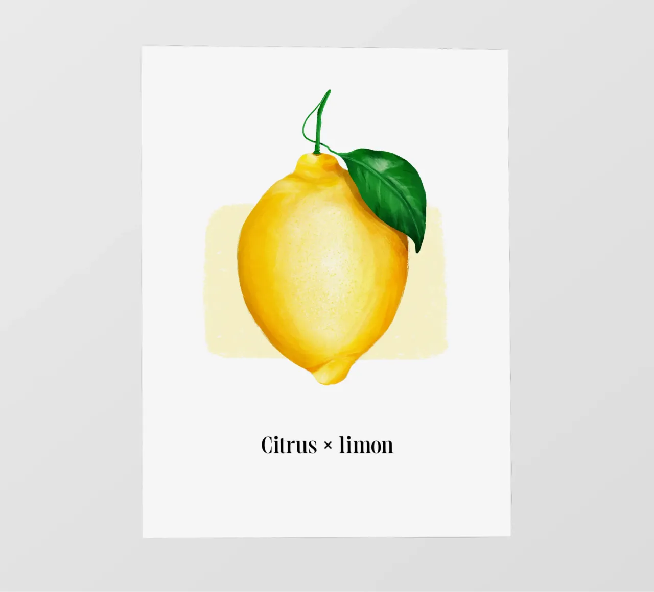 Citrus x limon № 2 telo in pvc da color&shape