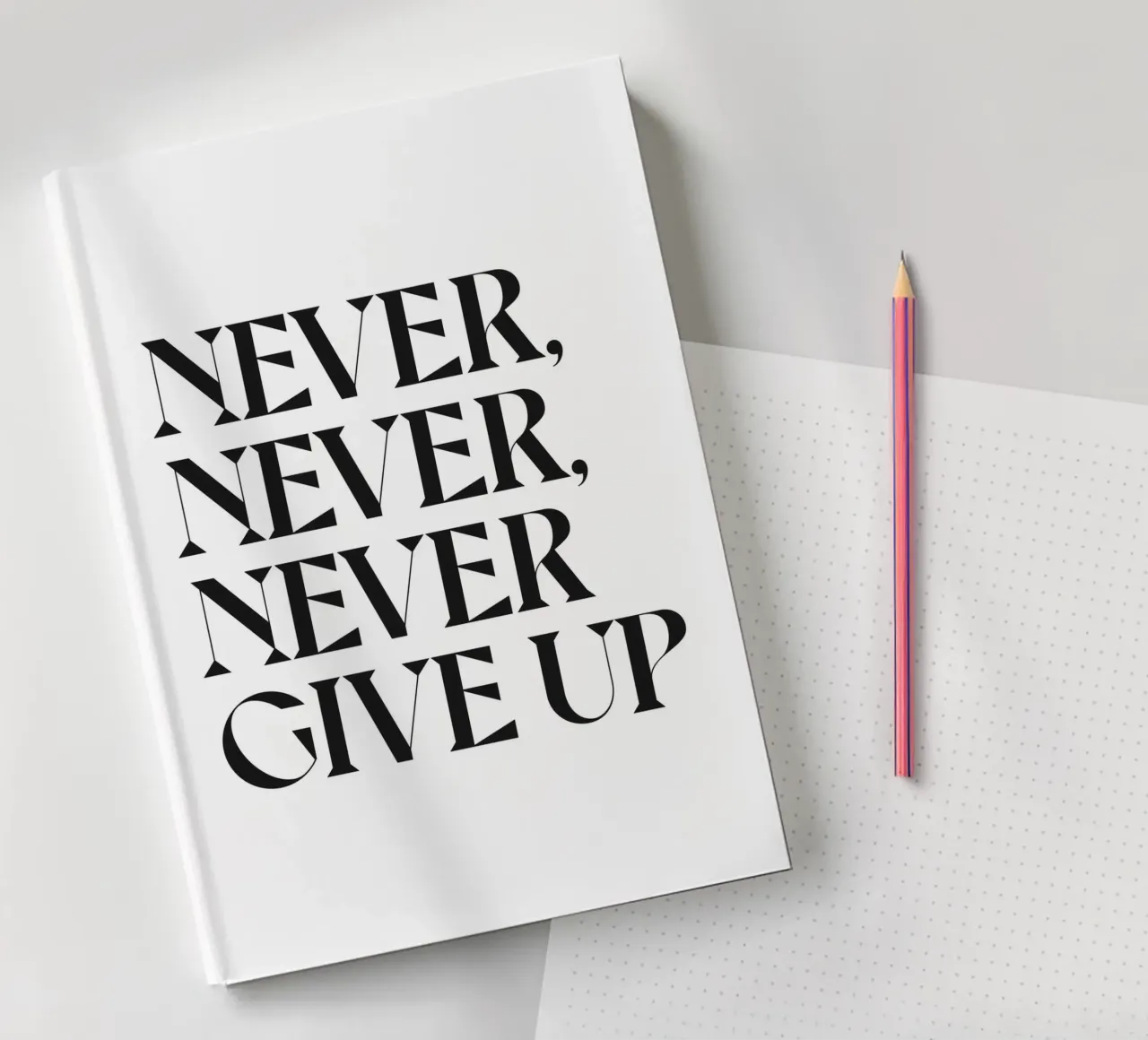 NE JAMAIS, JAMAIS, JAMAIS ABANDONNER carnet de notes de n.4