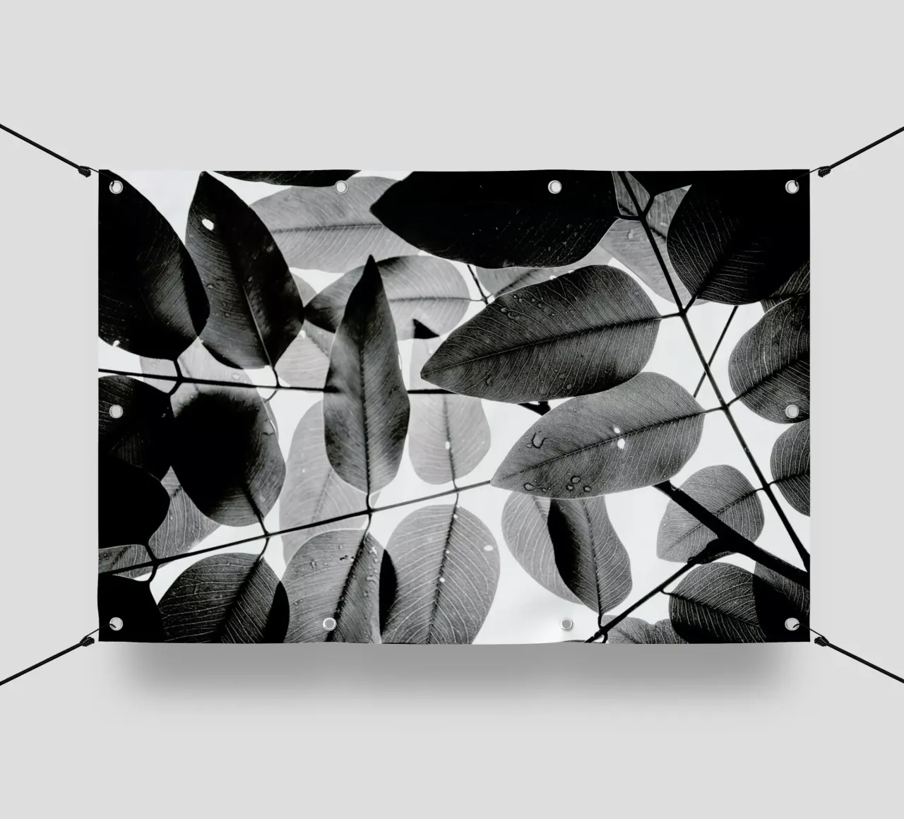 Experiments with Leaves 2 pvc cover by Tal Paz-Fridman