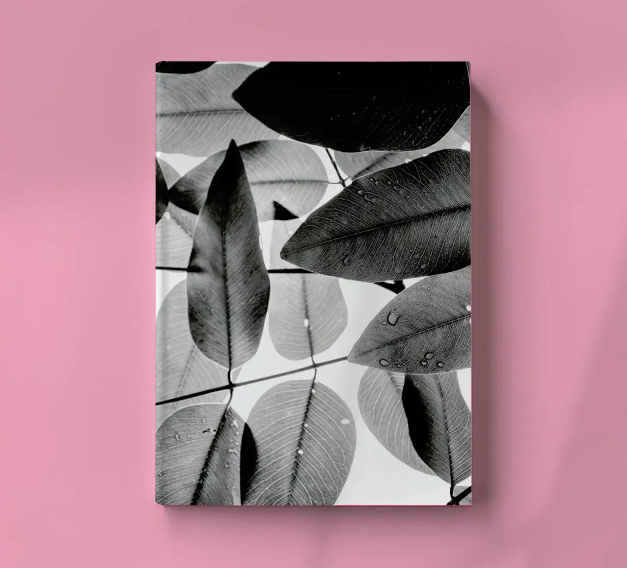 Experiments with Leaves 2 notebook by Tal Paz-Fridman