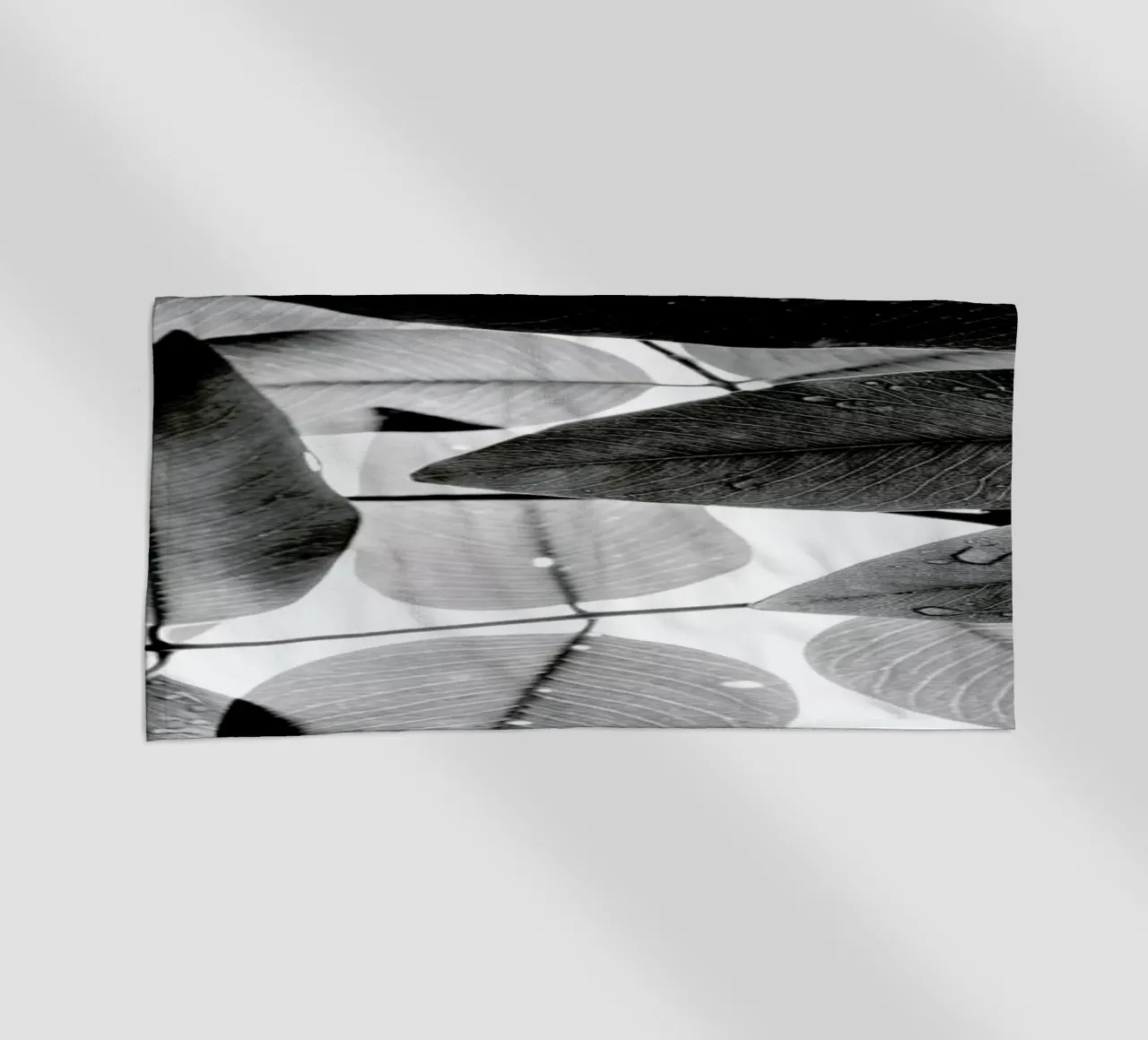 Experiments with Leaves 2 telo mare da Tal Paz-Fridman