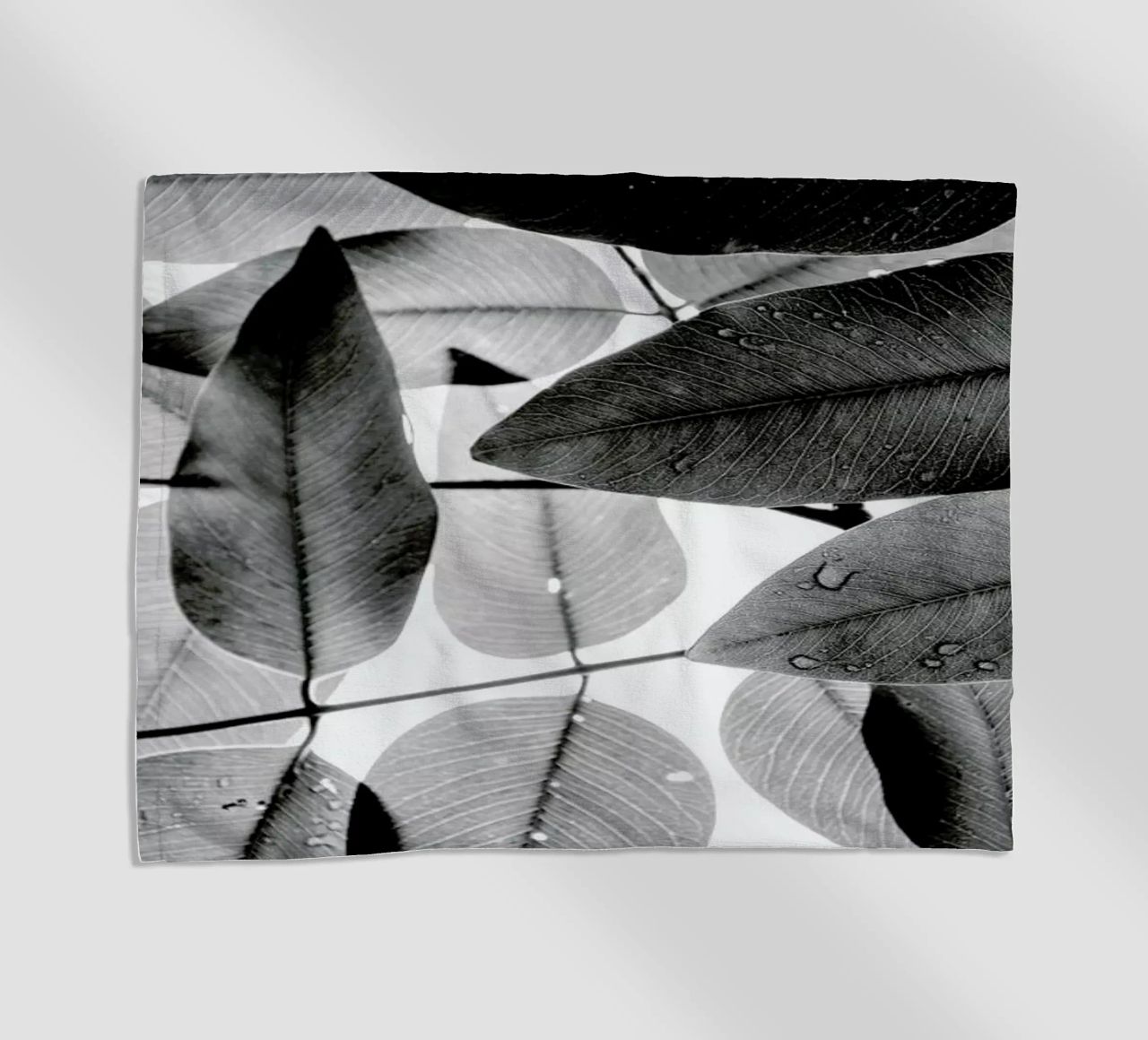 Experiments with Leaves 2 telo mare da Tal Paz-Fridman