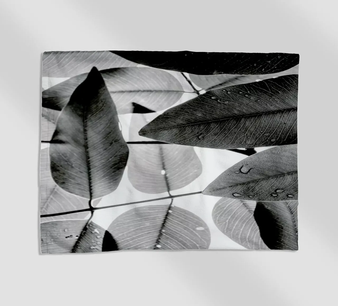 Experiments with Leaves 2 telo mare da Tal Paz-Fridman
