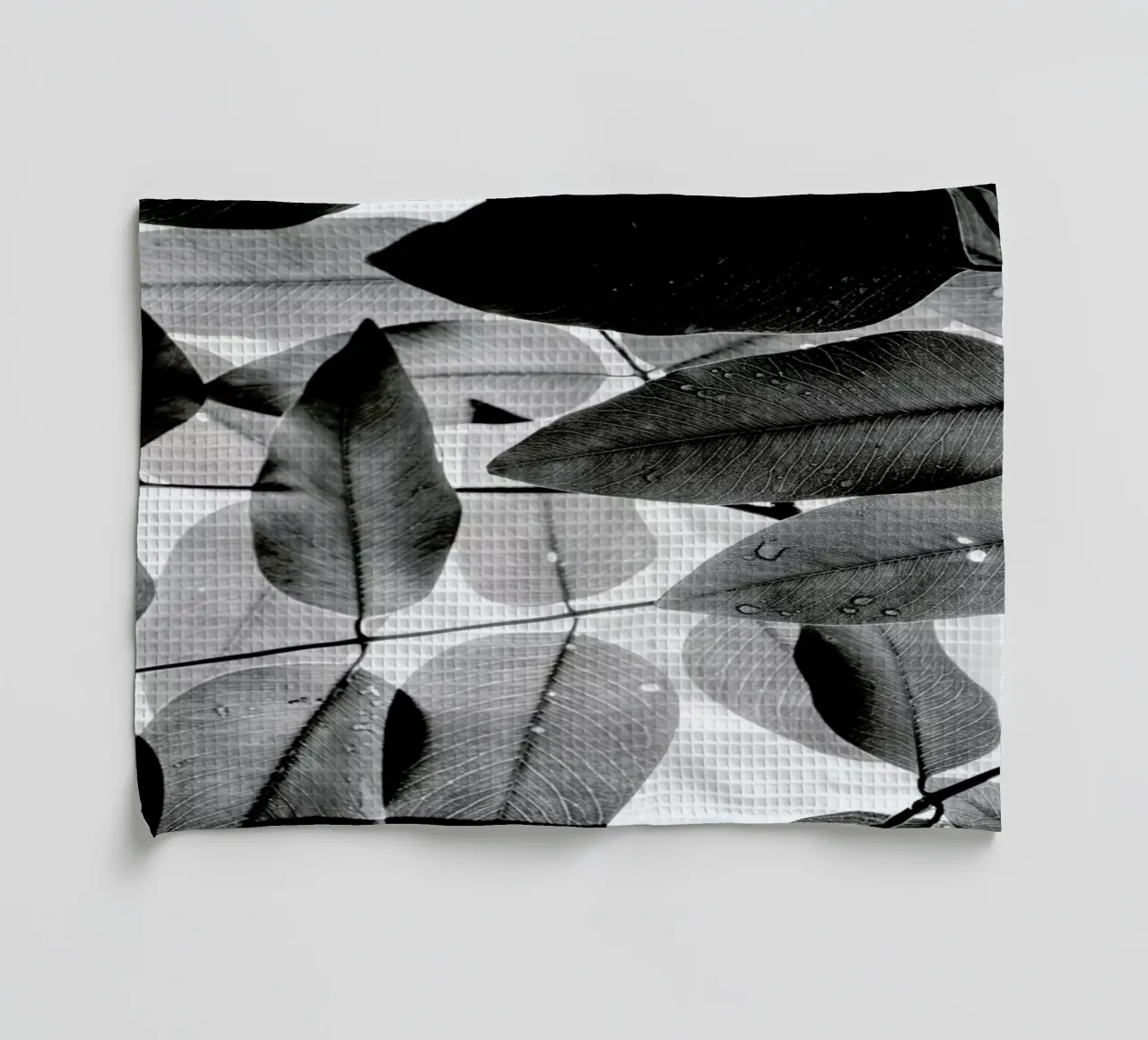 Experiments with Leaves 2 canovaccio da cucina da Tal Paz-Fridman