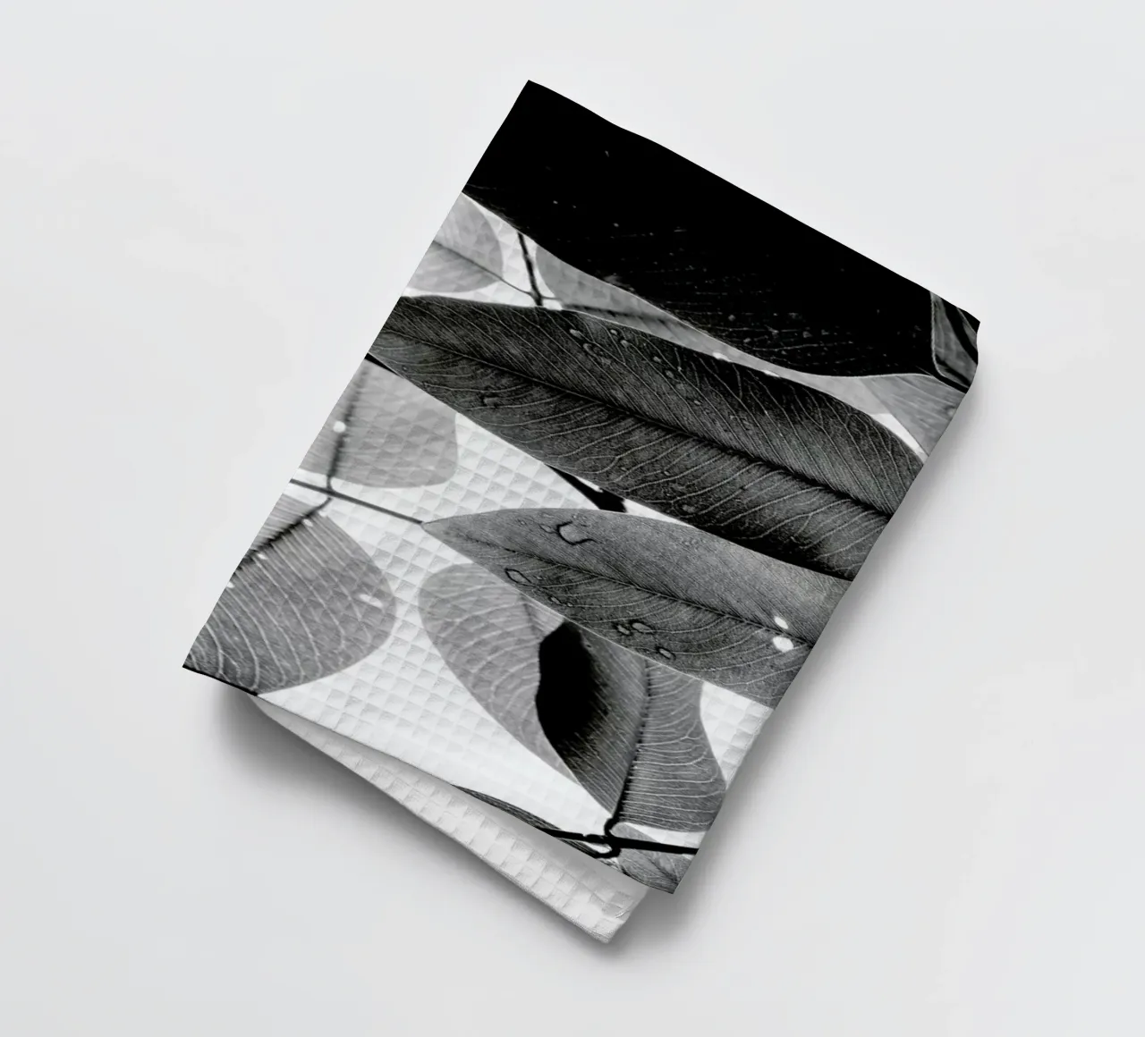 Experiments with Leaves 2 canovaccio da cucina da Tal Paz-Fridman