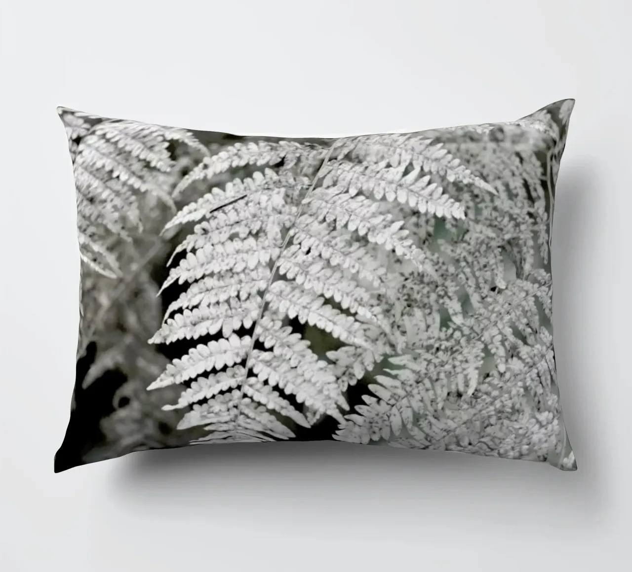 Let´s Dive Into Fern Kissen von Studio Nahili