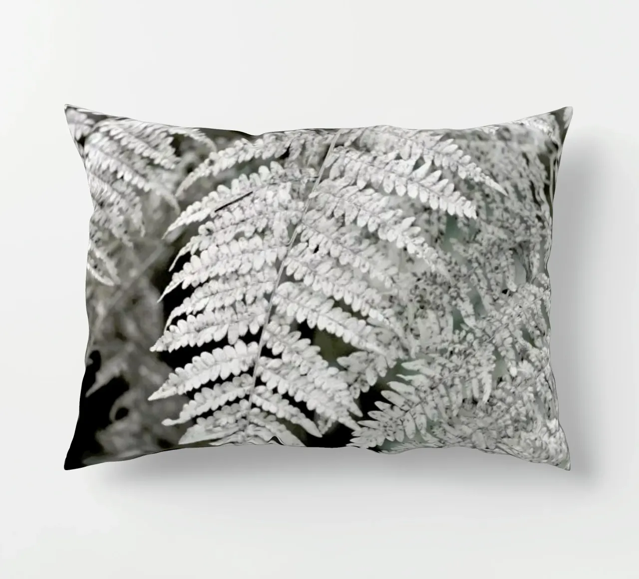Let´s Dive Into Fern Kissen von Studio Nahili