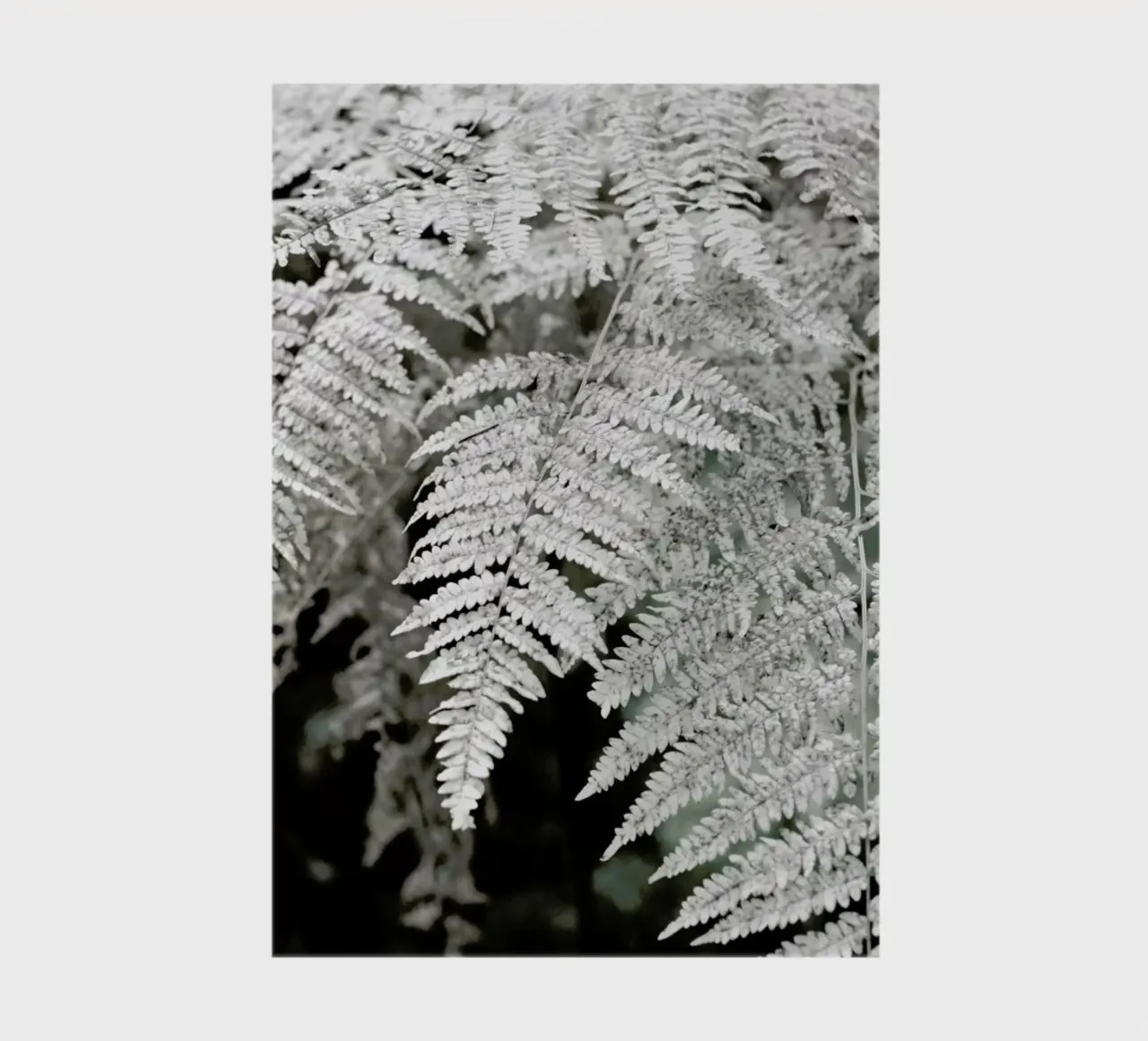 Let´s Dive Into Fern notebook by Studio Nahili