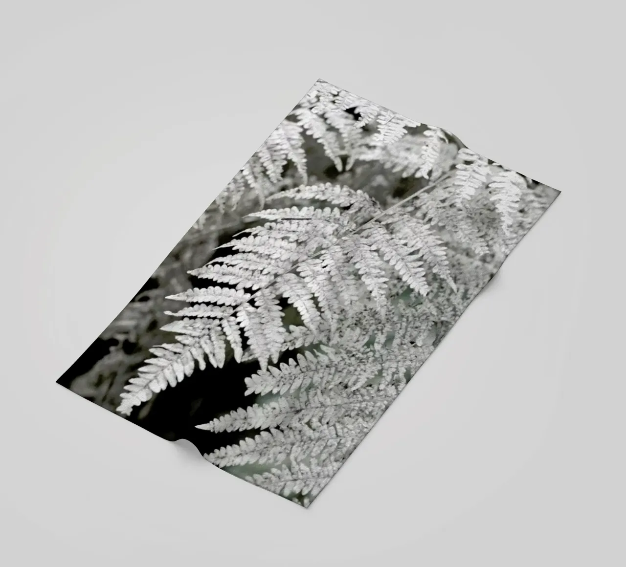 Let´s Dive Into Fern telo mare da Studio Nahili