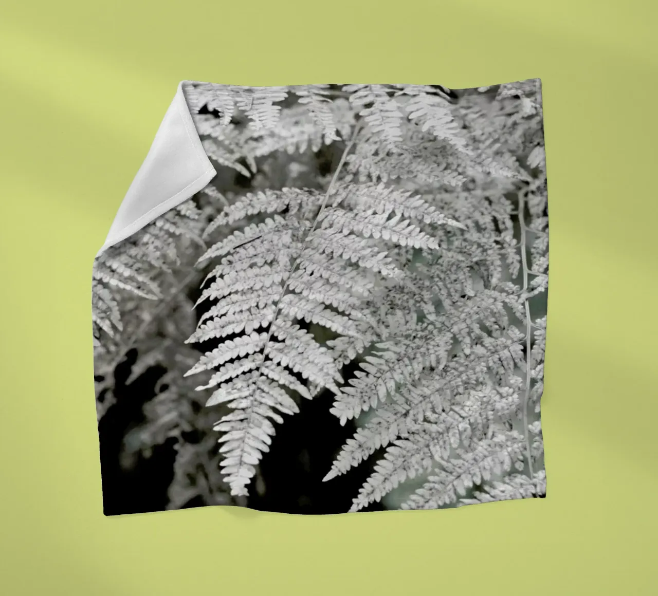 Let´s Dive Into Fern coperta in pile da Studio Nahili