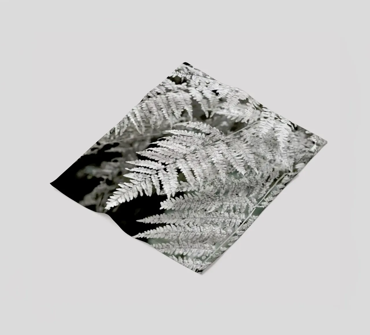 Let´s Dive Into Fern coperta in pile da Studio Nahili
