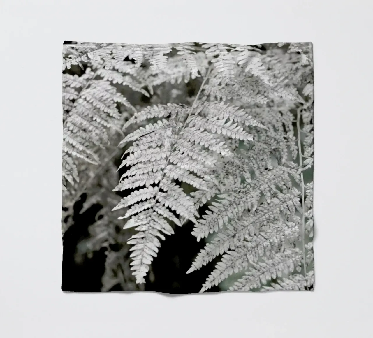 Let´s Dive Into Fern coperta in pile da Studio Nahili