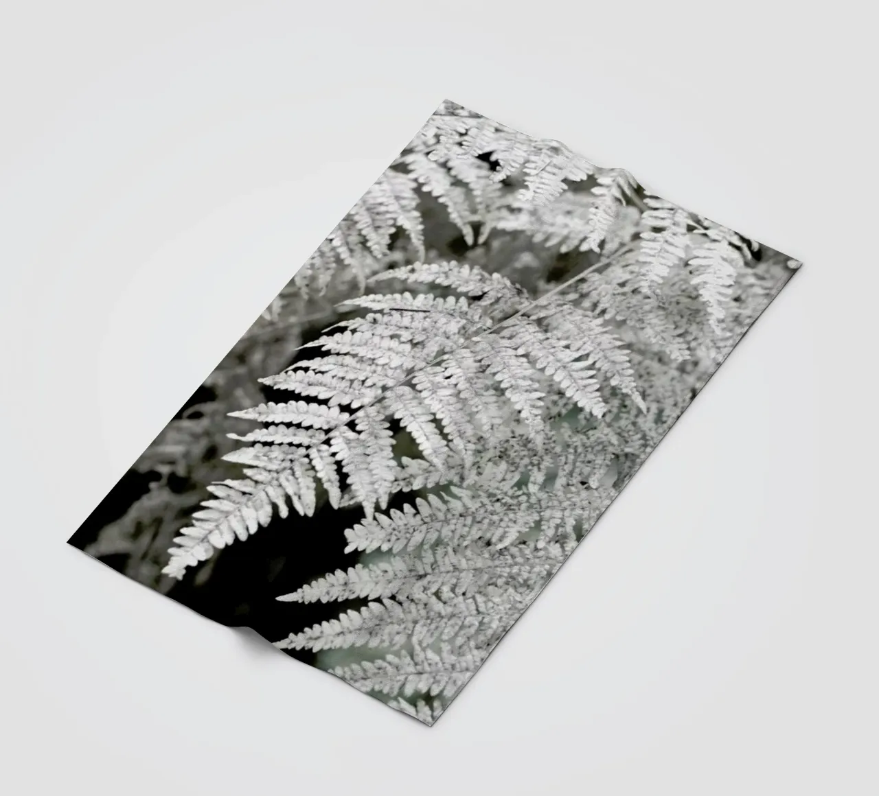 Let´s Dive Into Fern coperta in pile da Studio Nahili