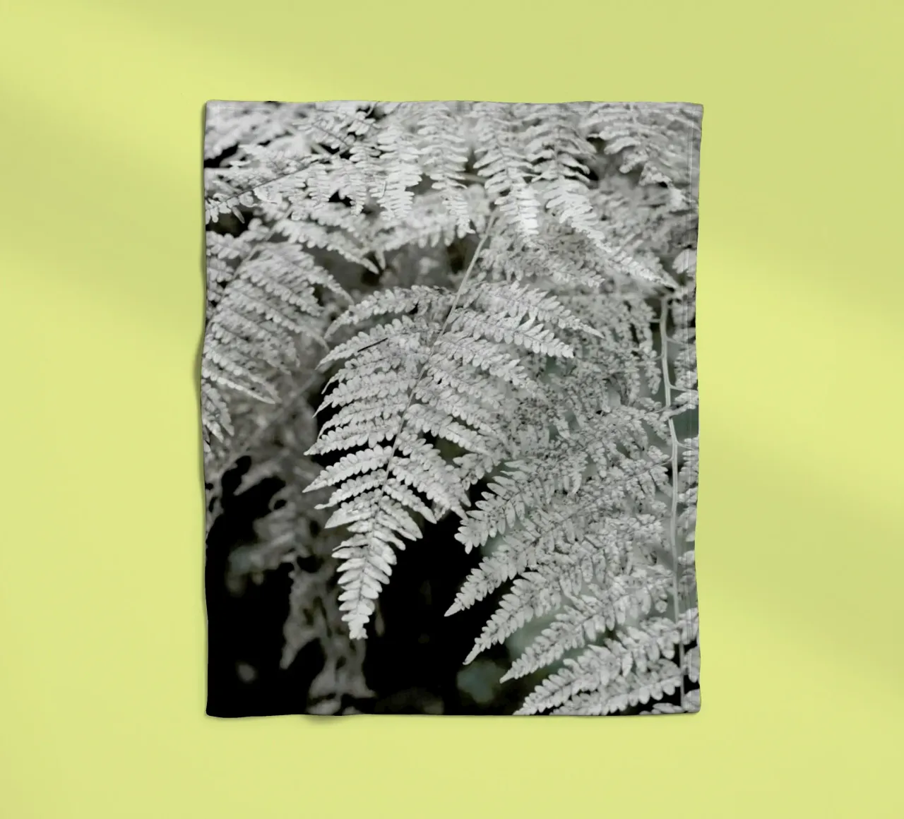 Let´s Dive Into Fern coperta in pile da Studio Nahili