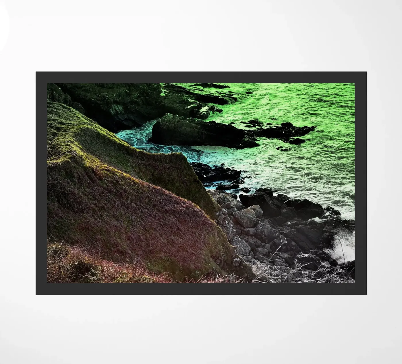 FAA158 zerbino da Thierry vobmann photography