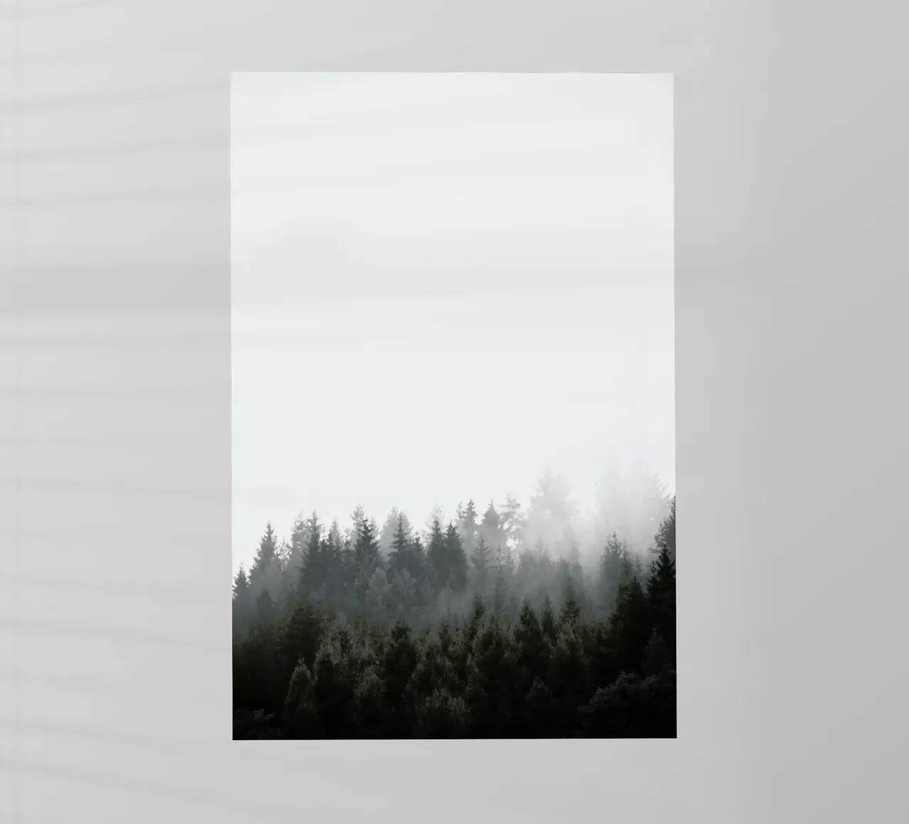 Walk Through The Forest pellicola backlit da Studio Nahili