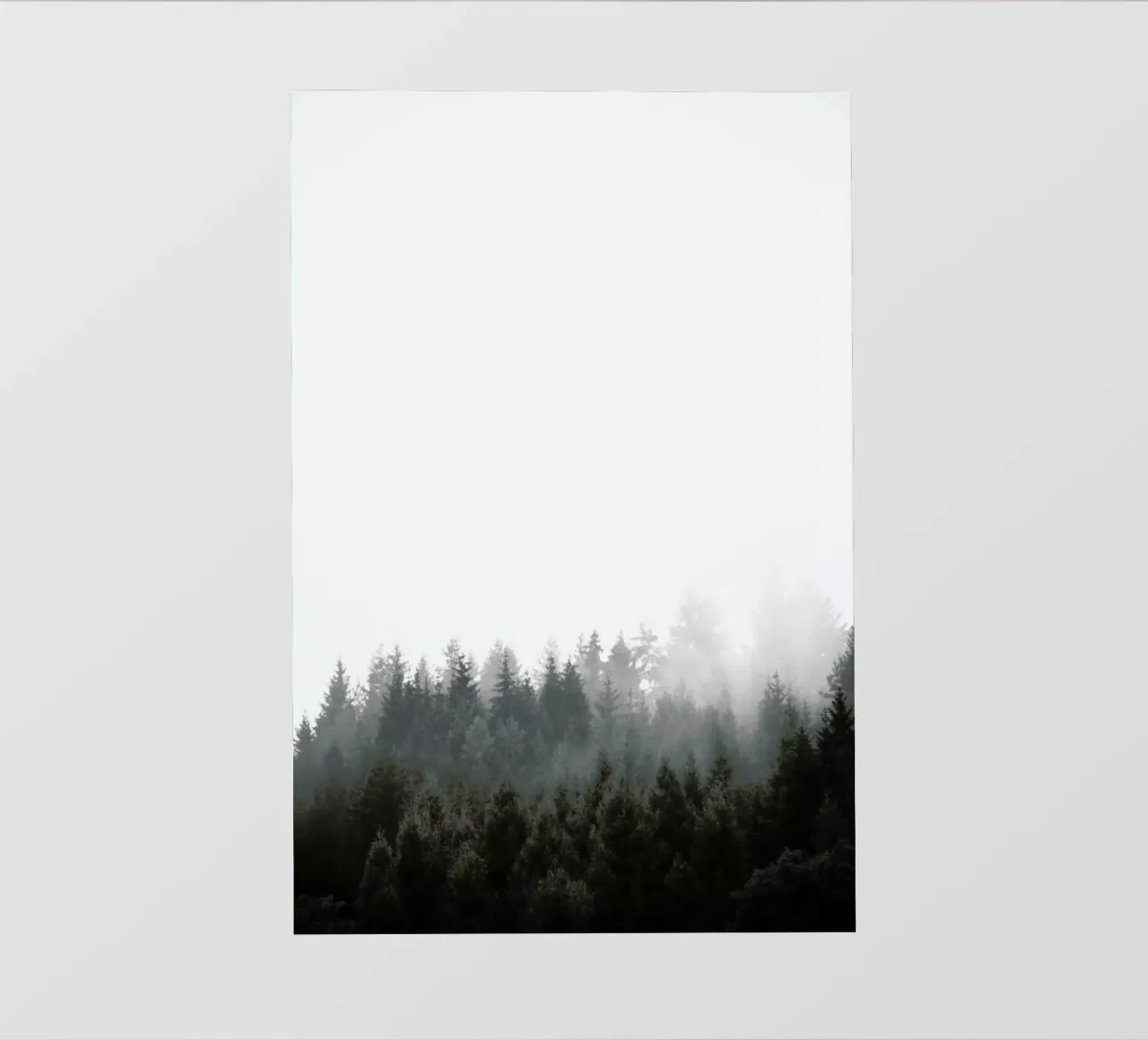 Walk Through The Forest pellicola backlit da Studio Nahili