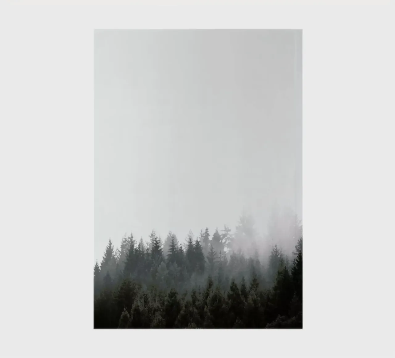 Walk Through The Forest notebook by Studio Nahili