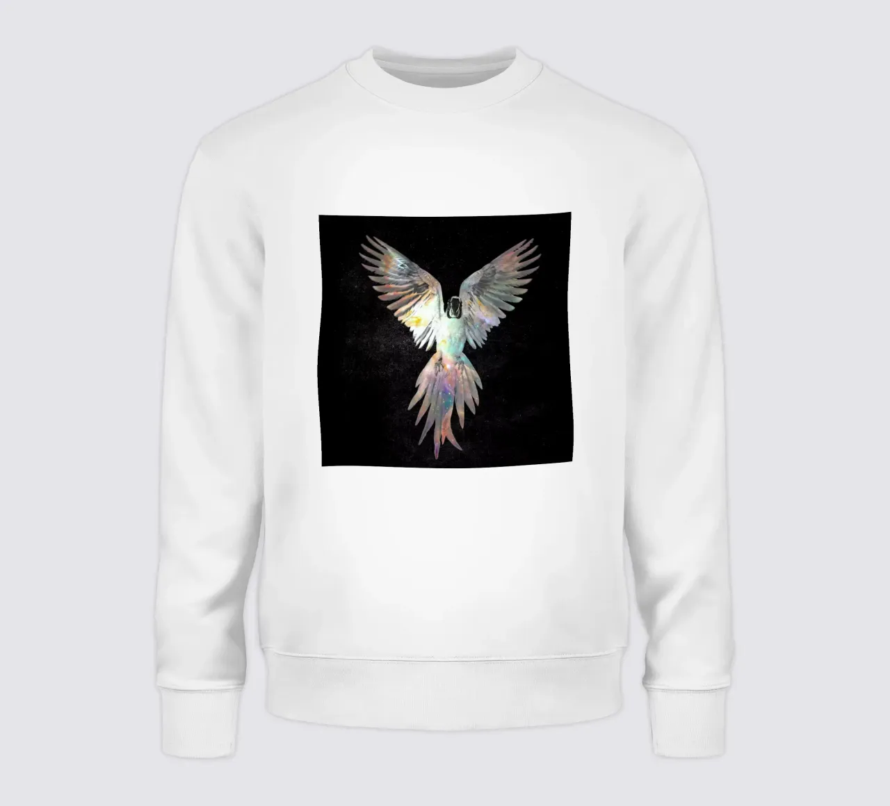 Parrot felpa da Dániel Taylor