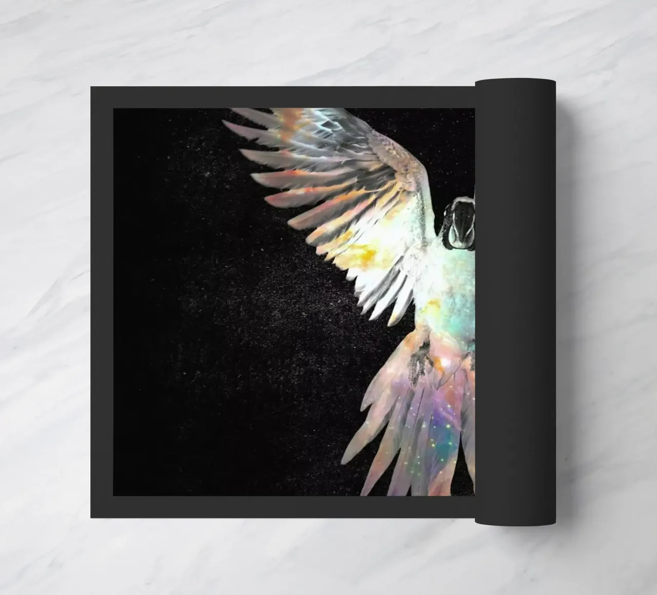 Parrot zerbino da Dániel Taylor