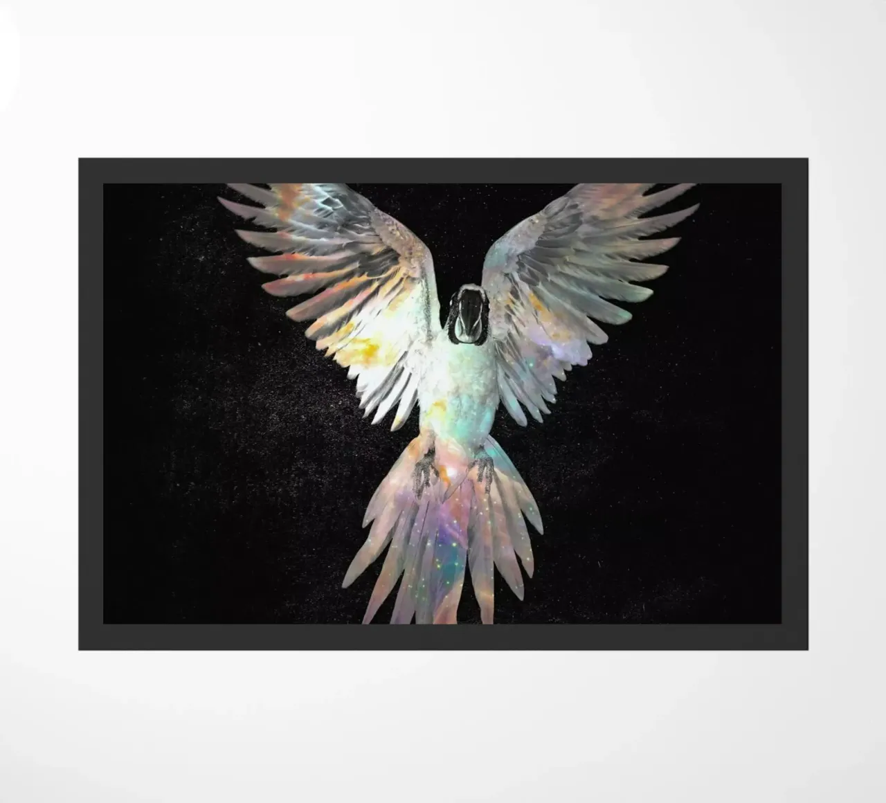 Parrot zerbino da Dániel Taylor