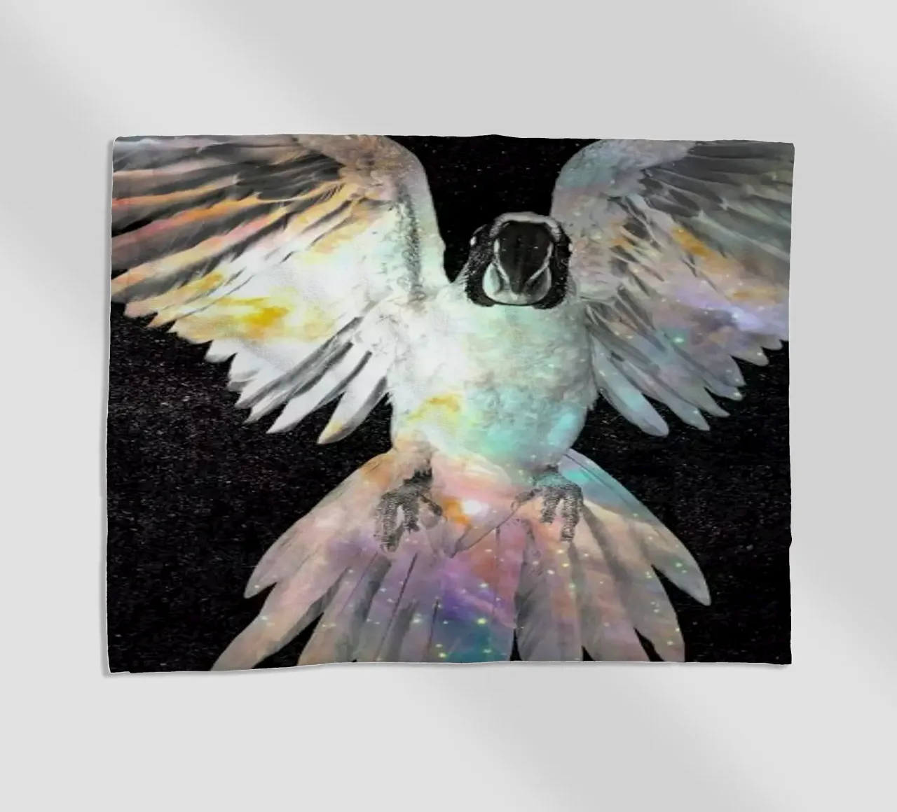 Parrot telo mare da Dániel Taylor