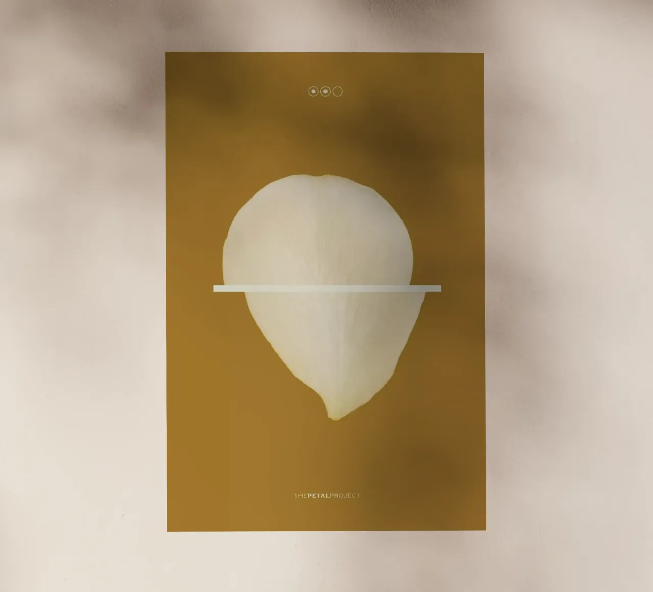 Petal Project No. 02 pellicola backlit da Bryon S. White