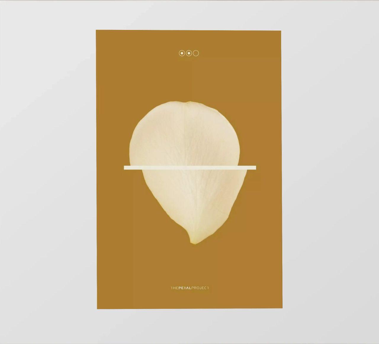 Petal Project No. 02 pellicola backlit da Bryon S. White