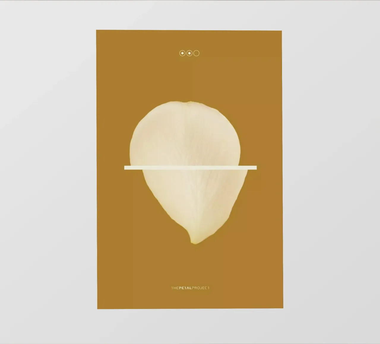 Petal Project No. 02 telo in pvc da Bryon S. White