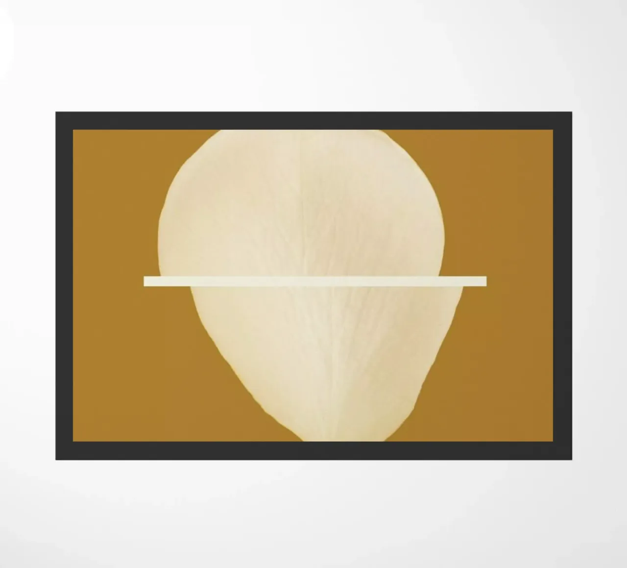 Petal Project No. 02 zerbino da Bryon S. White