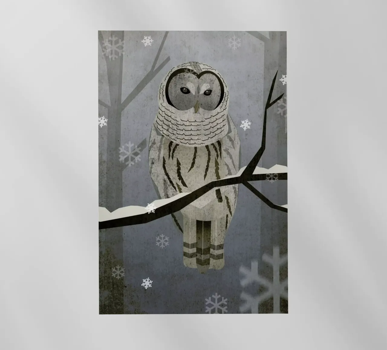 Schnee-Eule pellicola backlit da Sabrina Ziegenhorn