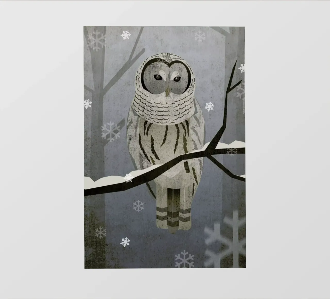 Schnee-Eule pellicola backlit da Sabrina Ziegenhorn