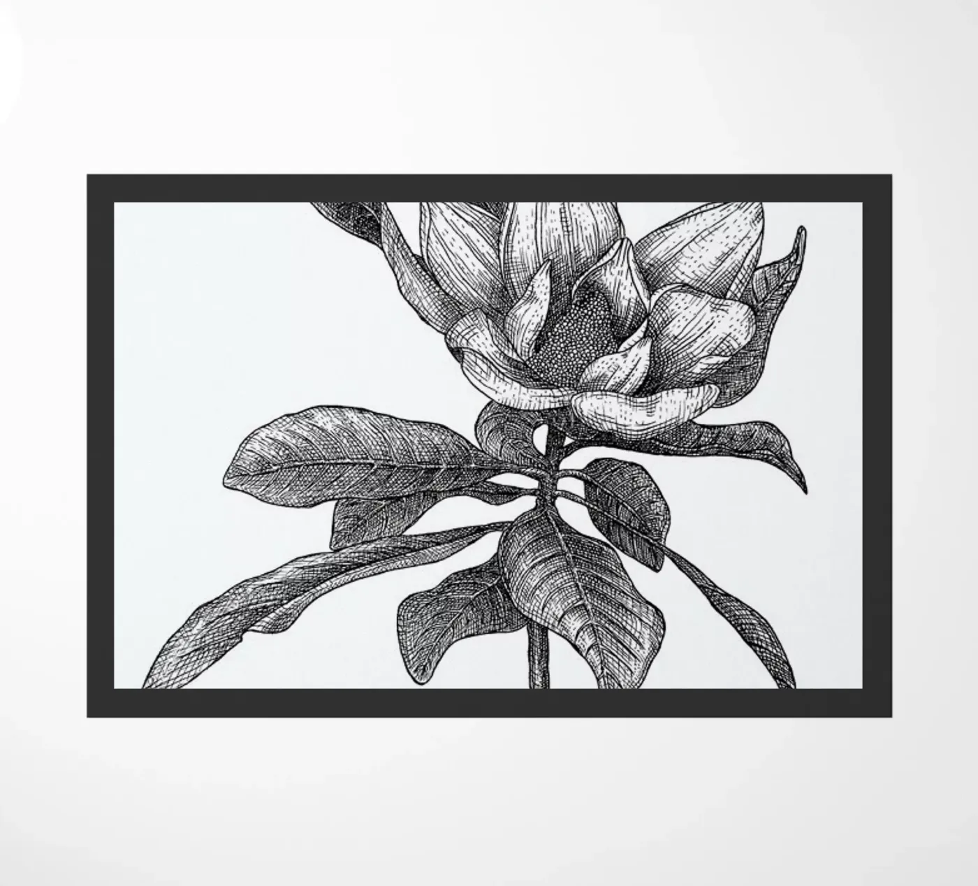 Magnolia zerbino da Pen & Ink
