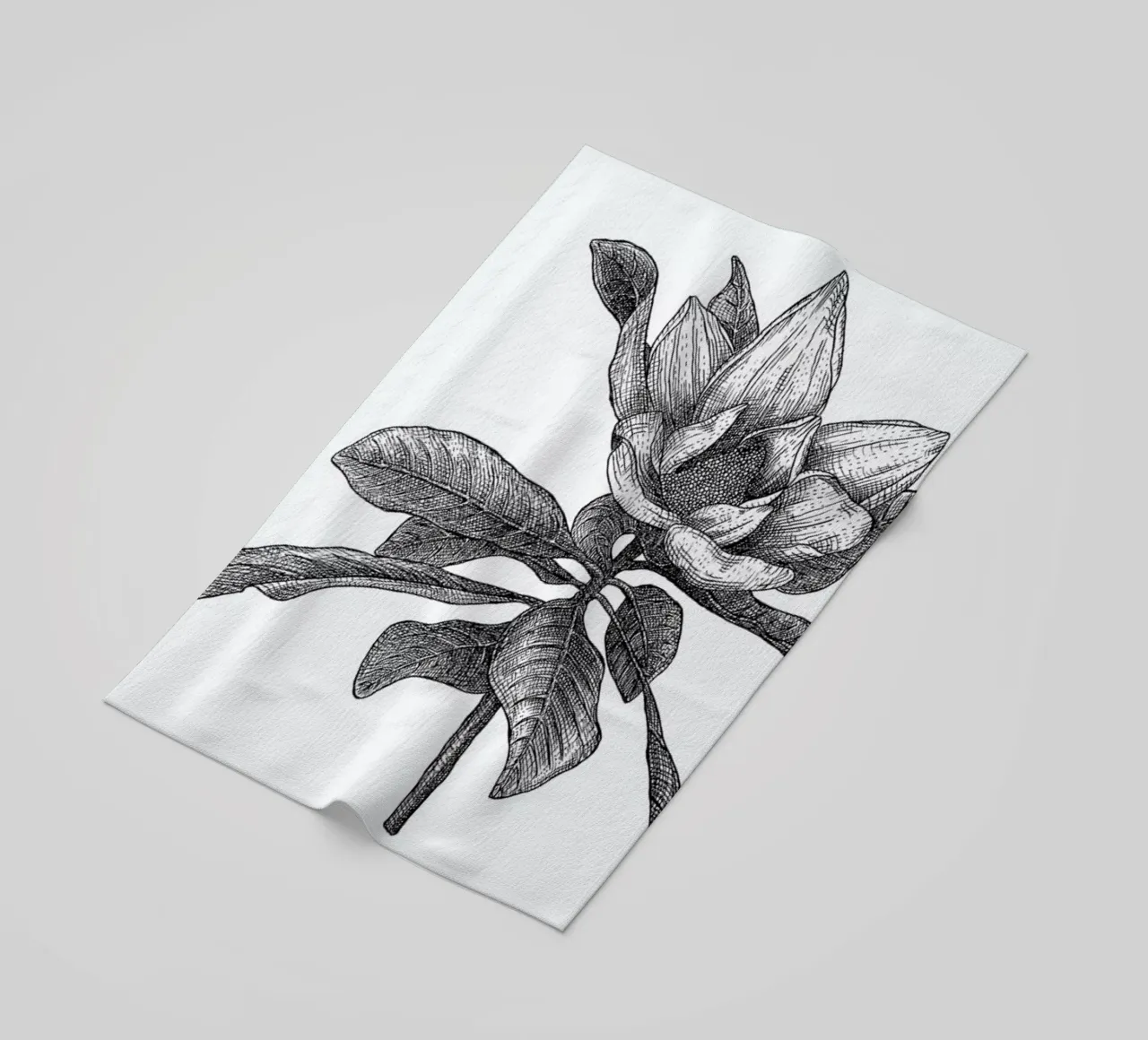 Magnolia telo mare da Pen & Ink
