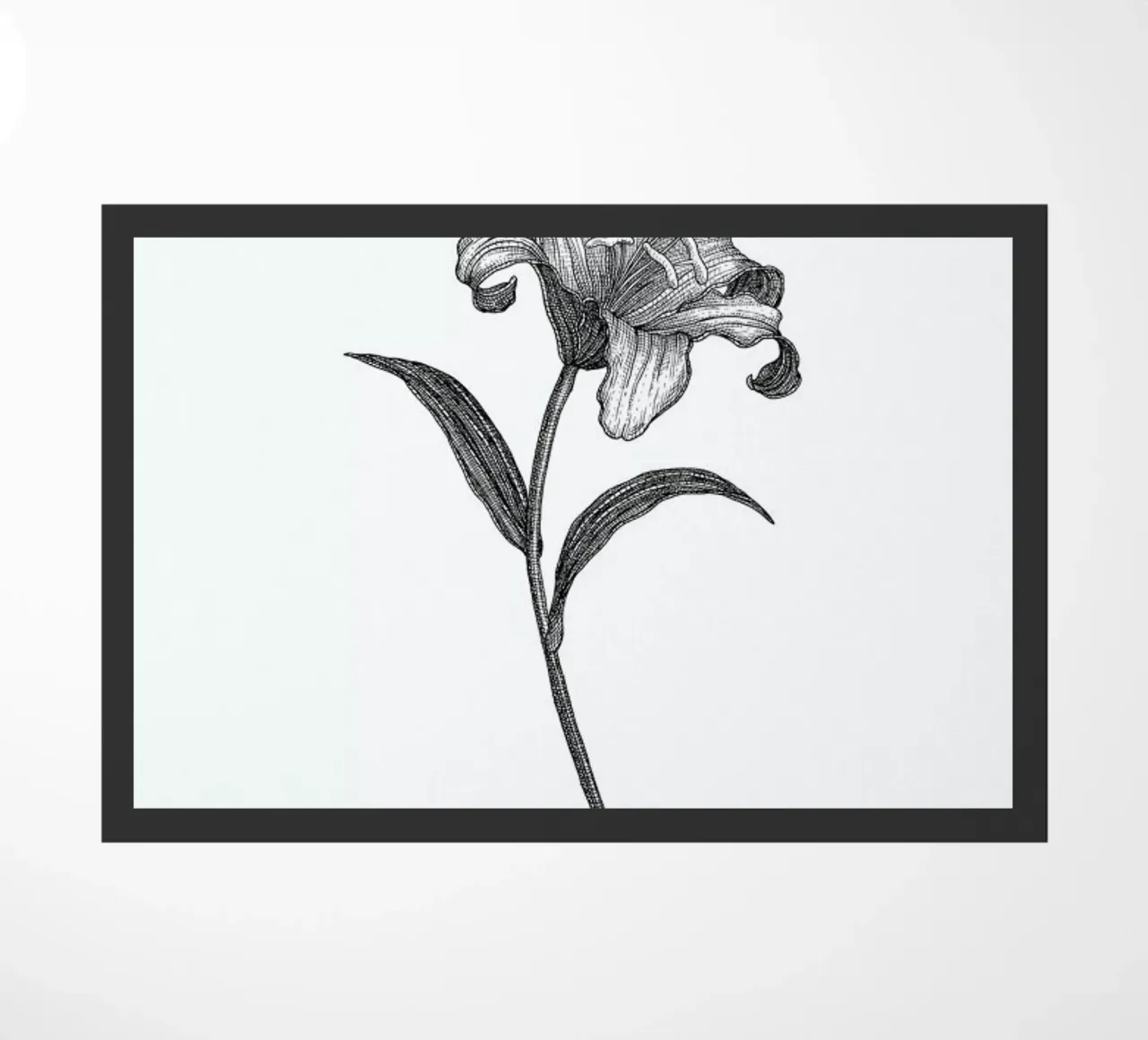 Lily zerbino da Pen & Ink